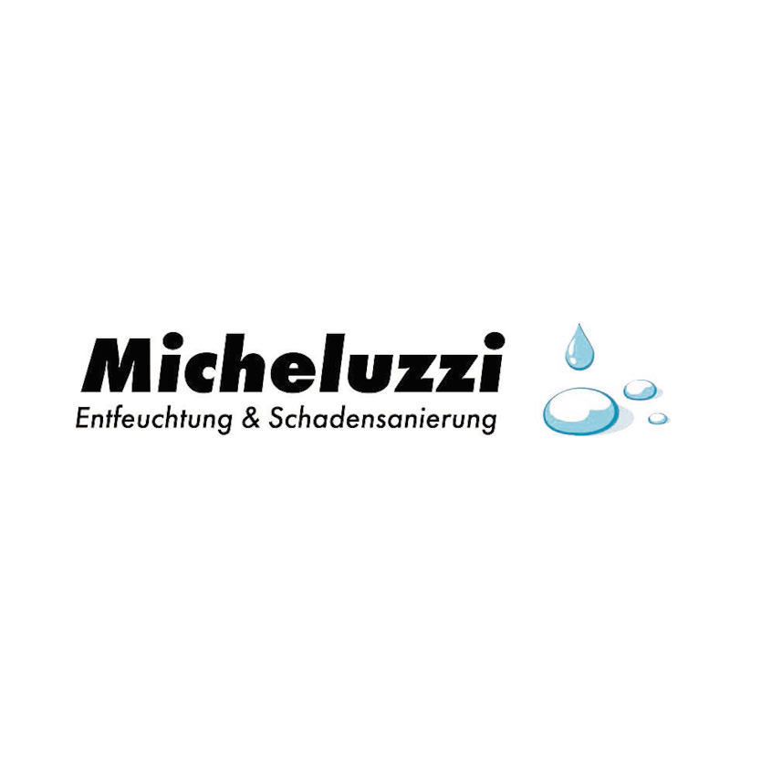 Kurt Micheluzzi Der Grüne - Entfeuchtung und Schadensanierung